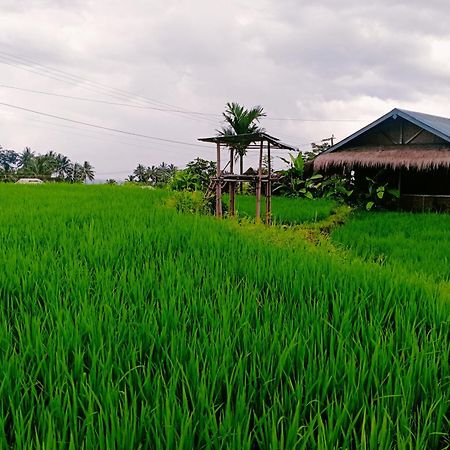 Bayan Exotic Homestay Senaru Dış mekan fotoğraf