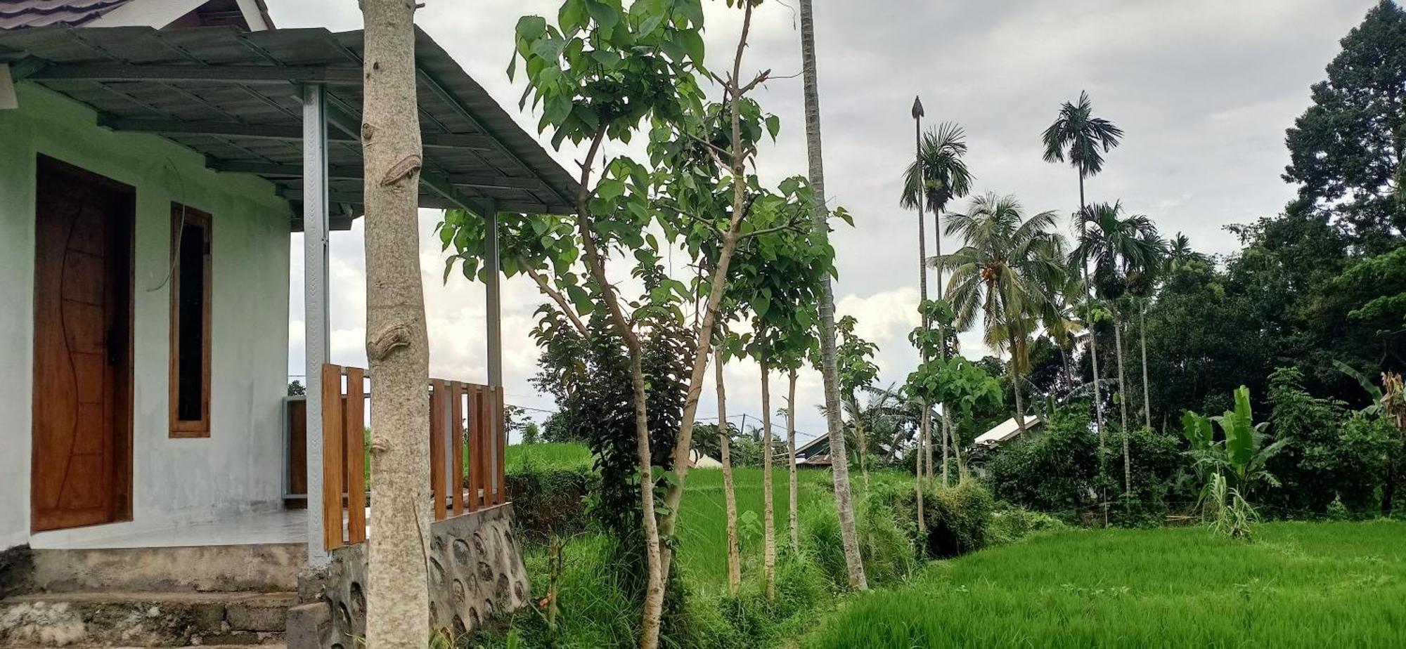 Bayan Exotic Homestay Senaru Dış mekan fotoğraf