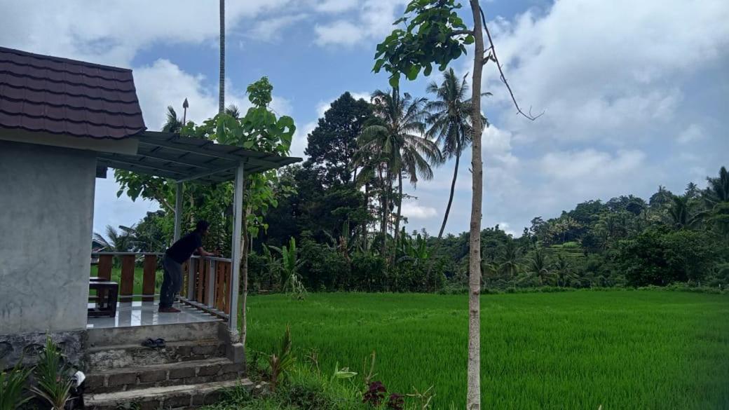 Bayan Exotic Homestay Senaru Dış mekan fotoğraf