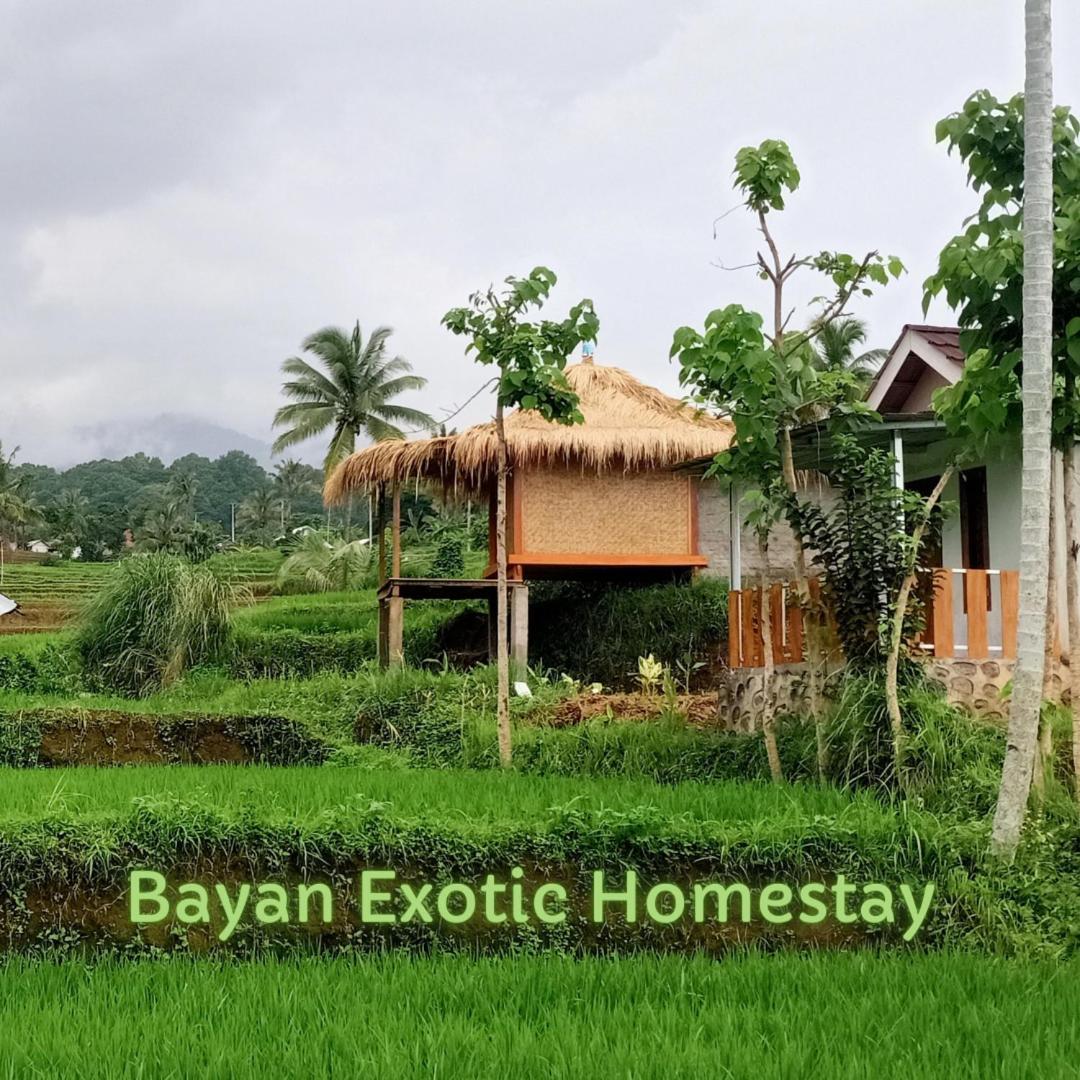 Bayan Exotic Homestay Senaru Dış mekan fotoğraf