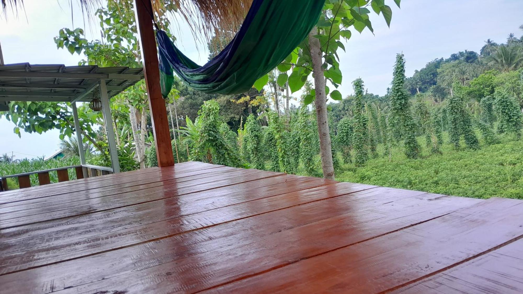 Bayan Exotic Homestay Senaru Dış mekan fotoğraf